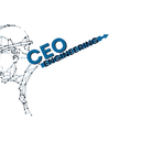 CEO ENGINEERING