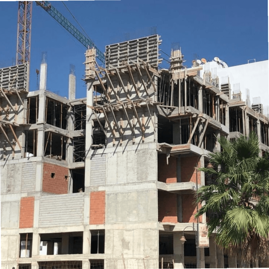 R+7 prestigia champ de course